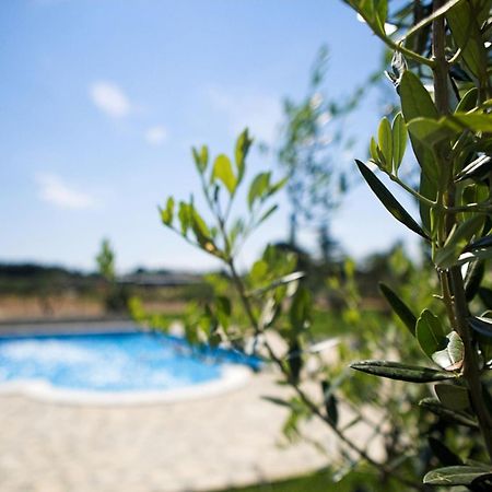 Marceta - Apartments & Rooms With Swimming Pool Fazana Exterior photo